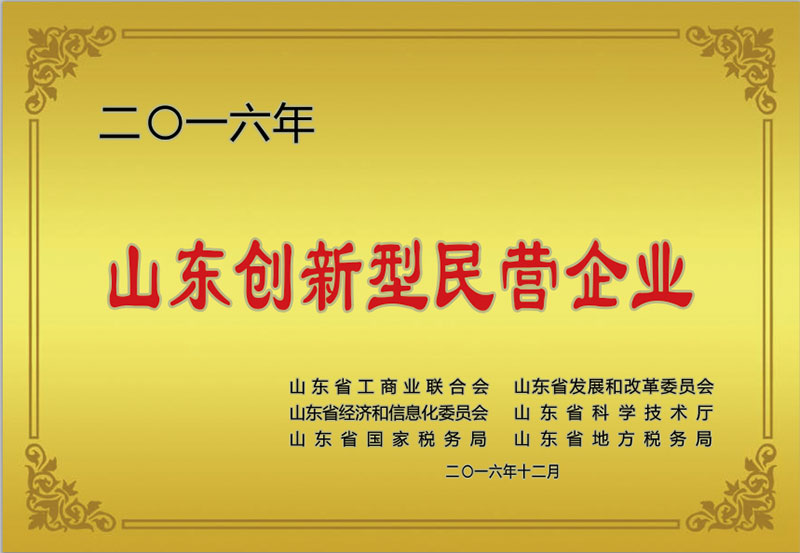 山東(dōng)創(chuàng)新型民(mín)營企業.jpg