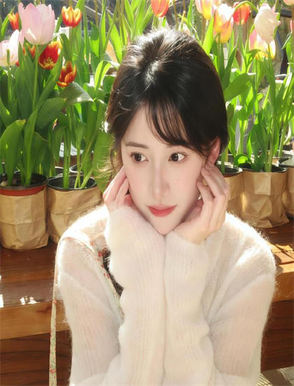 双语字幕：《小马国女孩一波三折的友谊》各平台观看指南：播放渠道与版本选择